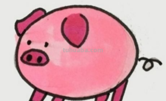 小猪怎么画简单又漂亮
