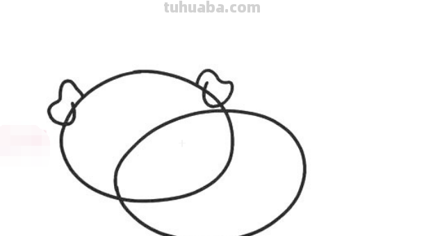 画可爱的小猪怎么画