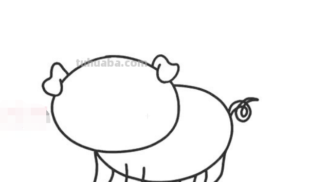 画可爱的小猪怎么画