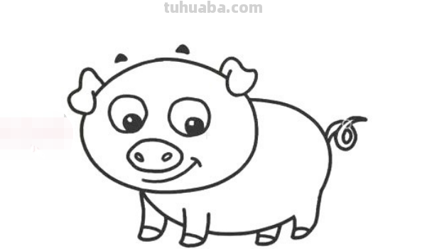 画可爱的小猪怎么画