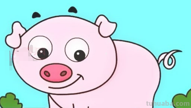 画可爱的小猪怎么画