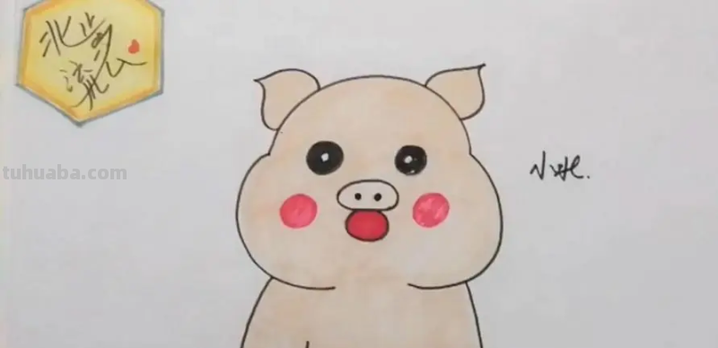 画可爱的小猪怎么画