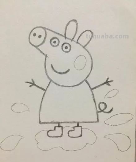 小猪简单画法