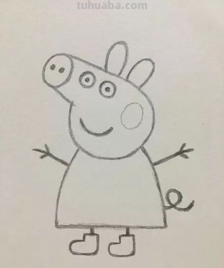 小猪简单画法