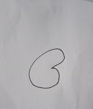 小猪画法简单又可爱