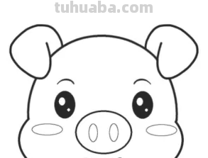 小猪怎么画