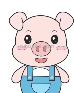 小猪怎么画