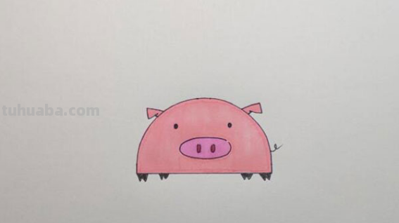 可爱猪猪的画法