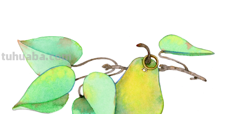 梨怎么画简笔画图片