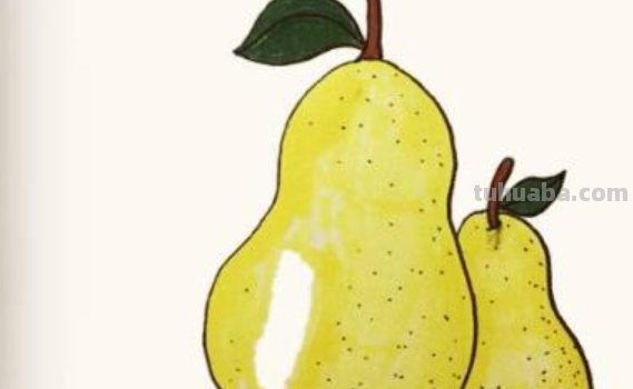 梨怎么画简笔画图片