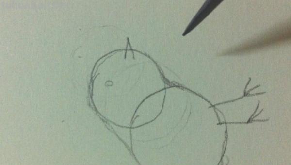 彩铅怎么画漂亮小鸟 鸟语花香彩铅绘画步骤? 彩铅怎么画漂亮小鸟 鸟语花香彩铅绘画步骤?