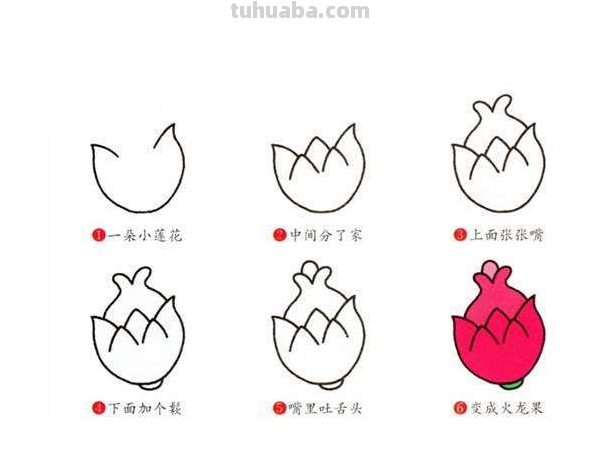 幼儿园水果简笔画教程大全，老师家长收藏备用
