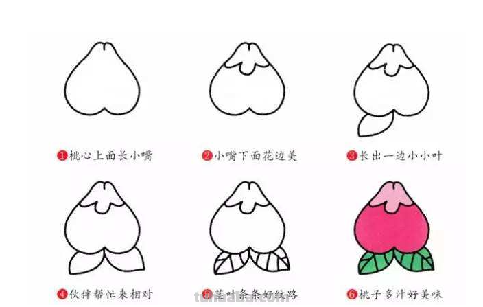 幼儿园水果简笔画教程大全，老师家长收藏备用