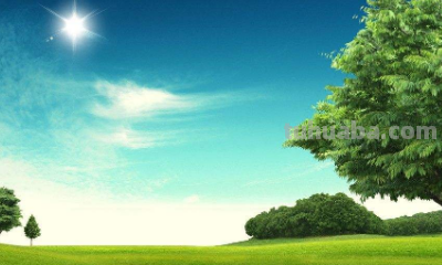 保护环境手抄报内容