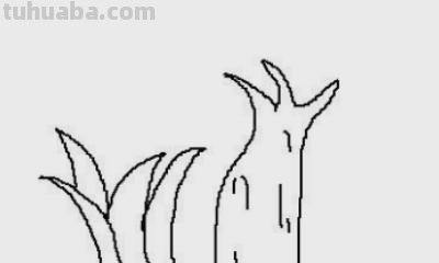 植物怎么画简笔画 花草树木简笔画怎么画? 植物怎么画简笔画 花草树木简笔画怎么画?