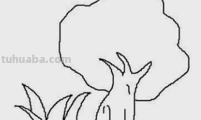 植物怎么画简笔画 花草树木简笔画怎么画? 植物怎么画简笔画 花草树木简笔画怎么画?