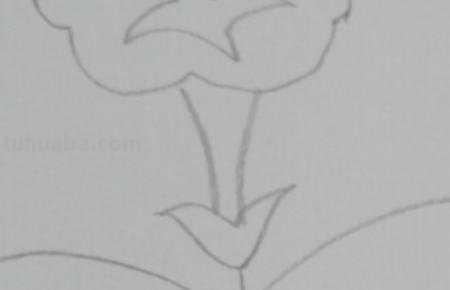 植物怎么画简笔画 花草树木简笔画怎么画? 植物怎么画简笔画 花草树木简笔画怎么画?
