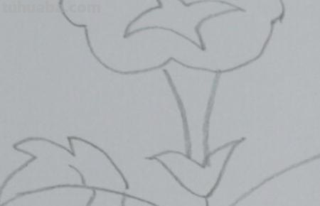 植物怎么画简笔画 花草树木简笔画怎么画? 植物怎么画简笔画 花草树木简笔画怎么画?
