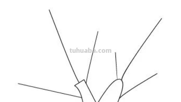 植物怎么画简笔画 花草树木简笔画怎么画? 植物怎么画简笔画 花草树木简笔画怎么画?