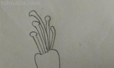 植物怎么画简笔画 花草树木简笔画怎么画? 植物怎么画简笔画 花草树木简笔画怎么画?
