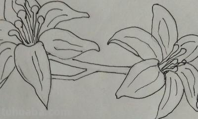 植物怎么画简笔画 花草树木简笔画怎么画? 植物怎么画简笔画 花草树木简笔画怎么画?
