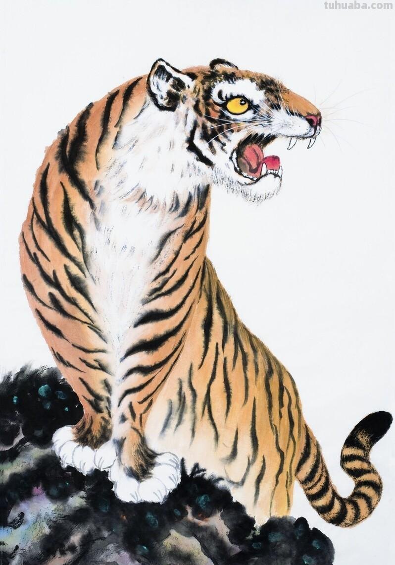 老虎怎么画?简单4步,大家都知道 老虎怎么画?简单4步,大家都知道