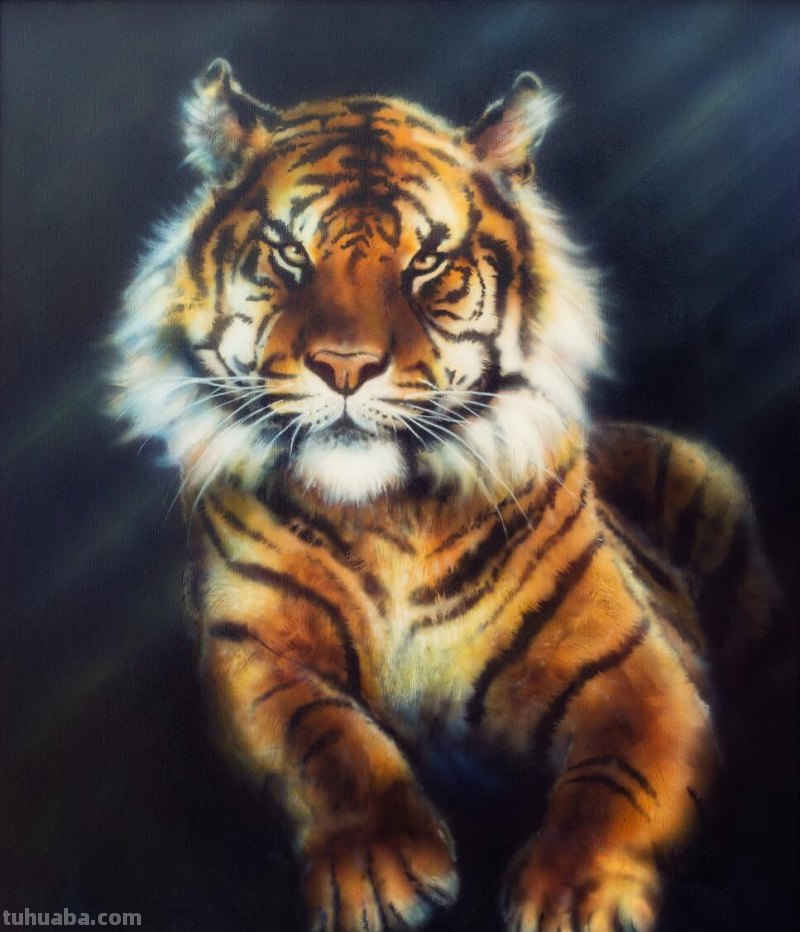 老虎怎么画?简单4步,大家都知道 老虎怎么画?简单4步,大家都知道