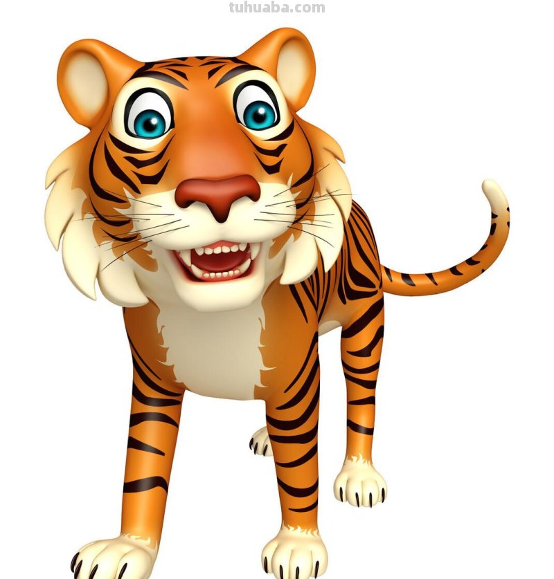 老虎怎么画?简单4步,大家都知道 老虎怎么画?简单4步,大家都知道