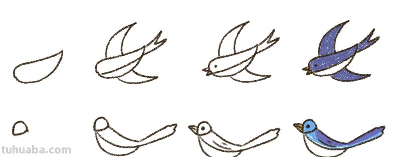 画出自由飞的小鸟，你一定能做到！因为太简单了~