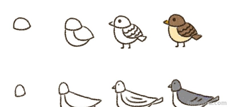 画出自由飞的小鸟，你一定能做到！因为太简单了~