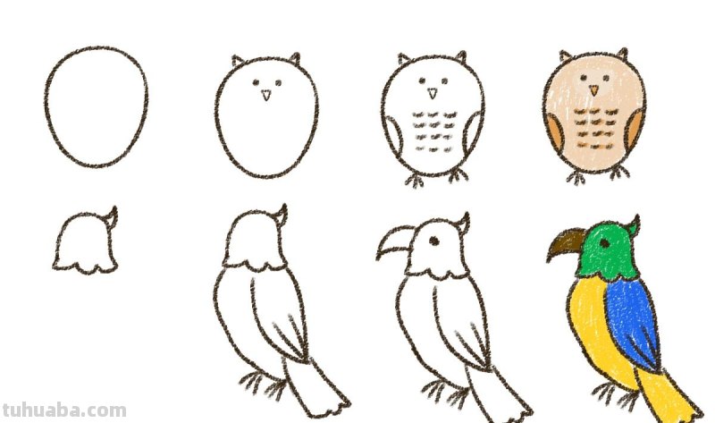 画出自由飞的小鸟，你一定能做到！因为太简单了~