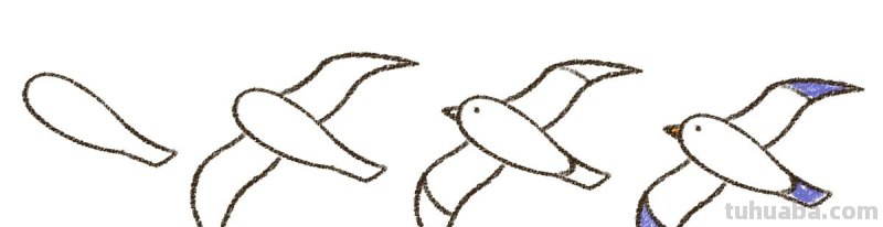 画出自由飞的小鸟，你一定能做到！因为太简单了~