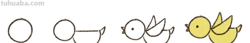 画出自由飞的小鸟，你一定能做到！因为太简单了~