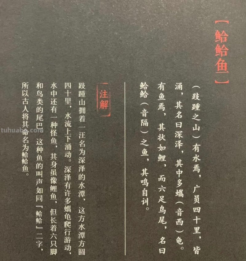 国学《山海经》东山三经-鮯鮯鱼，竟然有六条腿