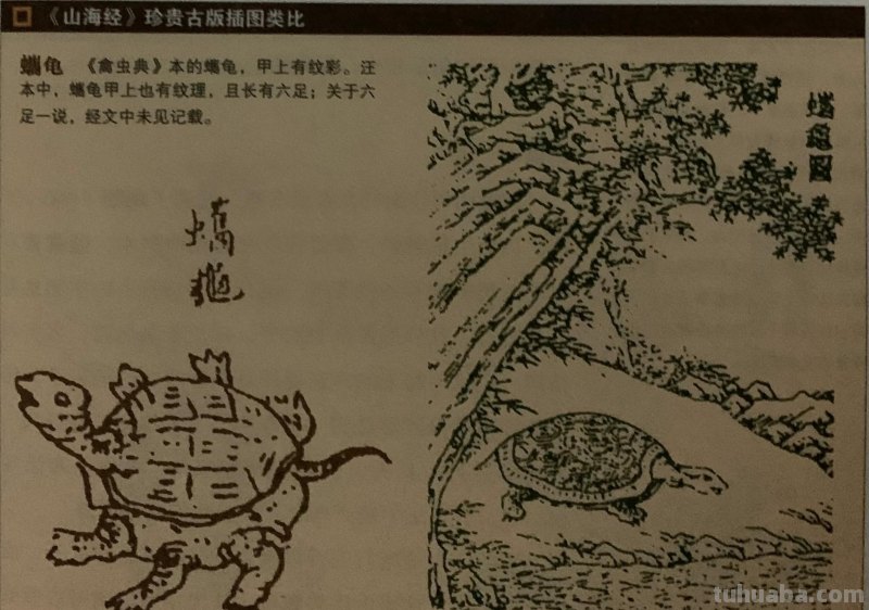 国学《山海经》东山三经-鮯鮯鱼，竟然有六条腿