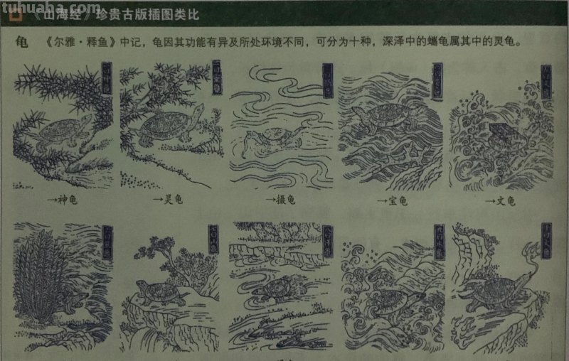 国学《山海经》东山三经-鮯鮯鱼，竟然有六条腿