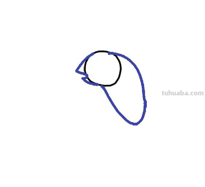 简单易学的变色龙简笔画步骤图，轻松变身绘画达人
