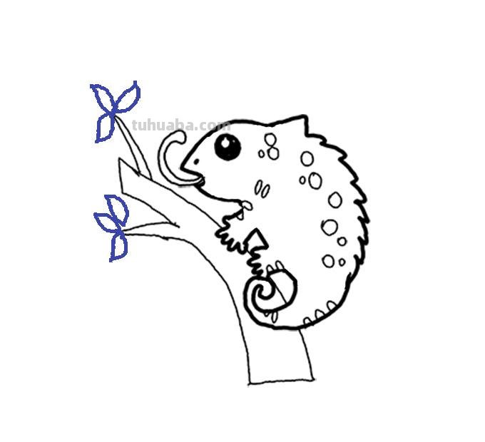 简单易学的变色龙简笔画步骤图，轻松变身绘画达人