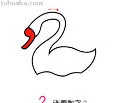听故事、学知识、画简笔画-第七只小天鹅