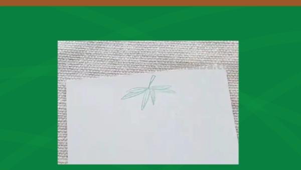 生命密码读书卡模板怎么做 咋做？制作读书卡？