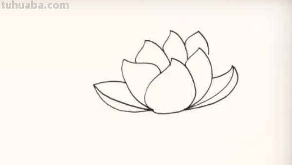 莲花怎么画图片