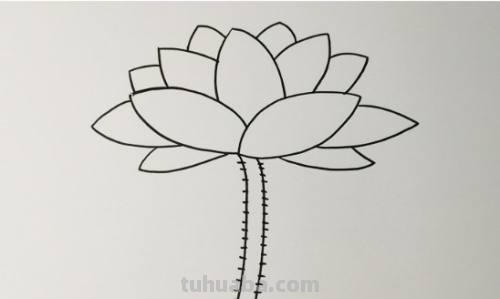 荷花怎么画好看又简单
