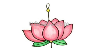 莲花的十种画法