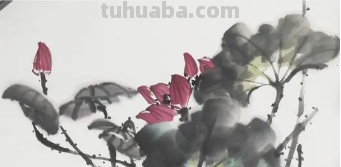 莲花的十种画法