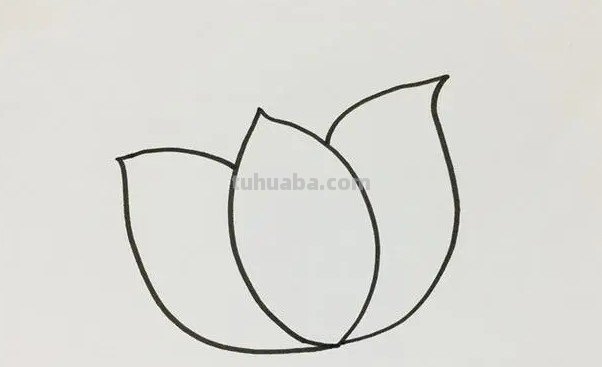 莲花怎么画简单又好看图片