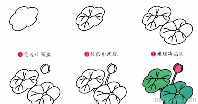 莲花怎么画简单又好看图片