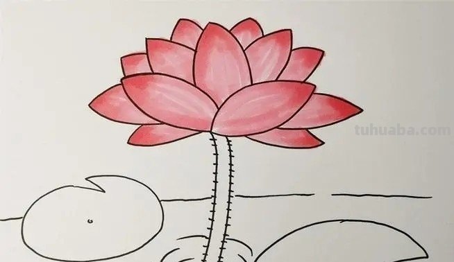 莲花怎么画简单又好看图片