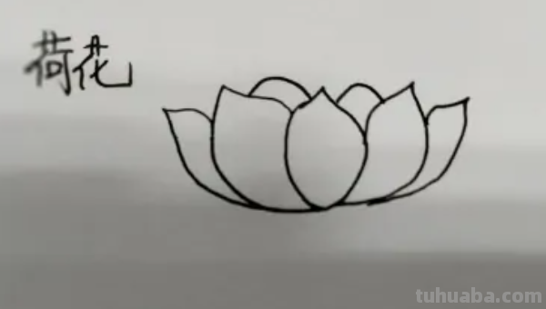 简笔莲花怎么画?