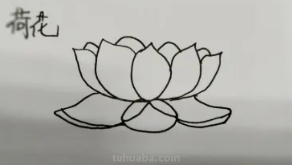 简笔莲花怎么画?