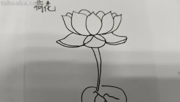 简笔莲花怎么画?